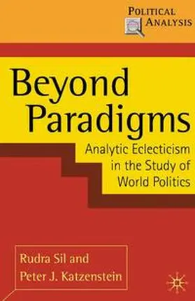 Sil / Katzenstein |  Beyond Paradigms | eBook | Sack Fachmedien