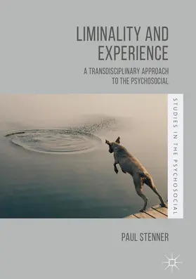 Stenner |  Liminality and Experience | eBook | Sack Fachmedien