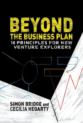 Bridge / Hegarty | Beyond the Business Plan | Buch | 978-1-137-33286-8 | www.sack.de