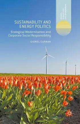 Curran |  Sustainability and Energy Politics | eBook | Sack Fachmedien