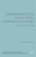 Mironko |  Determinants of FDI Flows Within Emerging Economies | Buch |  Sack Fachmedien