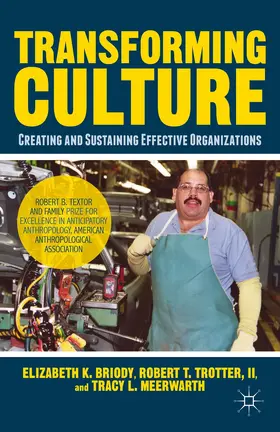 Briody / Trotter / Meerwarth |  Transforming Culture | Buch |  Sack Fachmedien