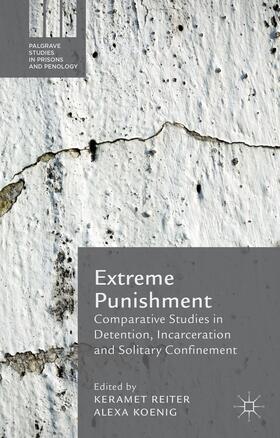 Reiter / Koenig |  Extreme Punishment | Buch |  Sack Fachmedien