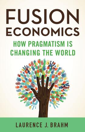 Brahm | Fusion Economics | Buch | 978-1-137-44417-2 | sack.de