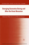 Arestis / Sawyer |  Emerging Economies During and After the Great Recession | eBook | Sack Fachmedien