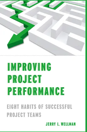 NA | Improving Project Performance | E-Book | sack.de