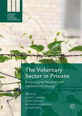 Abrams / Meek / Hughes | The Voluntary Sector in Prisons | Buch | 978-1-137-54214-4 | sack.de