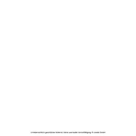 Rogala / Bialowas |  Communication in Organizational Environments | eBook | Sack Fachmedien