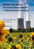 Hickey |  Energy and Human Resource Development in Developing Countries | eBook | Sack Fachmedien