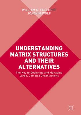 Wolf / Egelhoff | Understanding Matrix Structures and their Alternatives | Buch | 978-1-137-57974-4 | sack.de