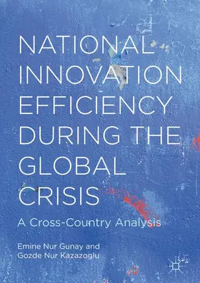 Kazazoglu / Gunay |  National Innovation Efficiency During the Global Crisis | Buch |  Sack Fachmedien