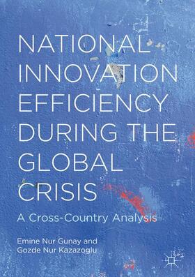 Kazazoglu / Gunay | National Innovation Efficiency During the Global Crisis | Buch | 978-1-137-58254-6 | sack.de