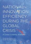 Kazazoglu / Gunay |  National Innovation Efficiency During the Global Crisis | Buch |  Sack Fachmedien