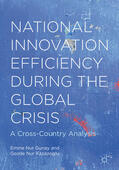 Gunay / Kazazoglu |  National Innovation Efficiency During the Global Crisis | eBook | Sack Fachmedien