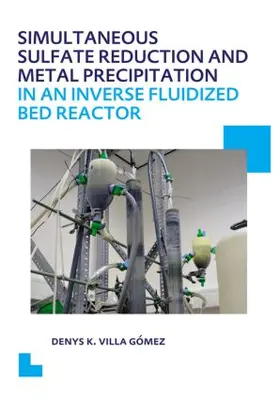 Villa Gomez |  Simultaneous Sulfate Reduction and Metal Precipitation in an Inverse Fluidized Bed Reactor | Buch |  Sack Fachmedien