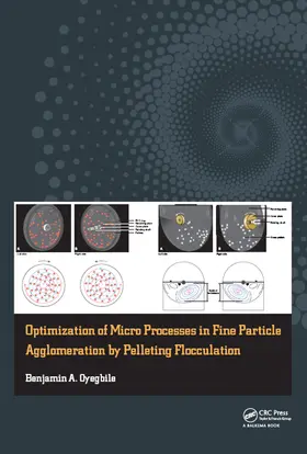 Oyegbile |  Optimization of Micro Processes in Fine Particle Agglomeration by Pelleting Flocculation | Buch |  Sack Fachmedien