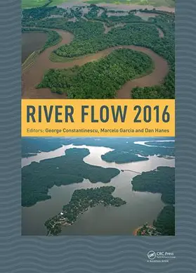 Constantinescu / Garcia / Hanes |  River Flow 2016 | Buch |  Sack Fachmedien