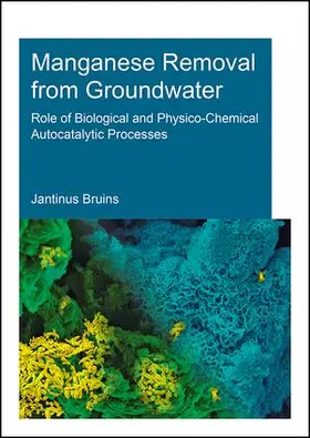 Bruins |  Manganese Removal from Groundwater | Buch |  Sack Fachmedien