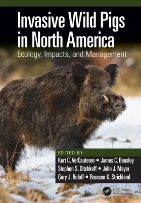 VerCauteren / Beasley / Ditchkoff |  Invasive Wild Pigs in North America | Buch |  Sack Fachmedien