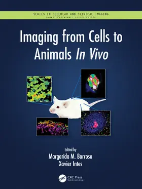 Barroso / Intes |  Imaging from Cells to Animals in Vivo | Buch |  Sack Fachmedien