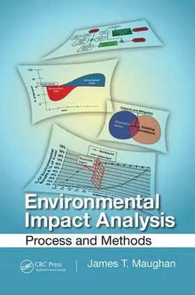 Maughan | Environmental Impact Analysis | Buch | 978-1-138-07414-9 | www.sack.de