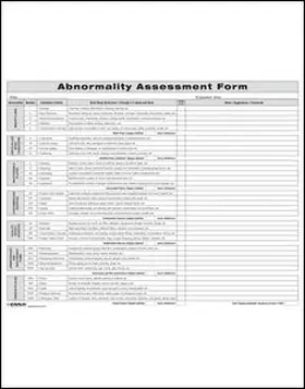 Enna |  Abnormality Assessment Form | Loseblattwerk |  Sack Fachmedien