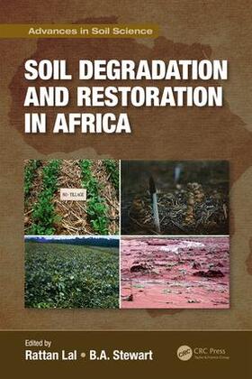 Lal / Stewart | Soil Degradation and Restoration in Africa | Buch | 978-1-138-10331-3 | sack.de
