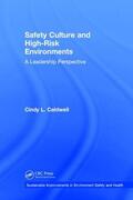 L. Caldwell |  Safety Culture and High-Risk Environments | Buch |  Sack Fachmedien
