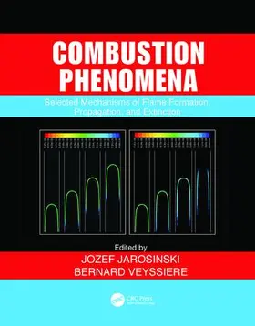 Jarosinski / Veyssiere |  Combustion Phenomena: Selected Mechanisms of Flame Formation, Propagation and Extinction | Buch |  Sack Fachmedien