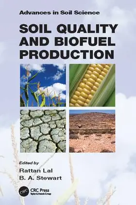 Lal / Stewart |  Soil Quality and Biofuel Production | Buch |  Sack Fachmedien