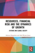 Pasqualino / Jones |  Resources, Financial Risk and the Dynamics of Growth | Buch |  Sack Fachmedien