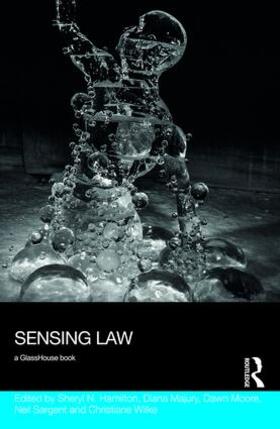 Hamilton / Majury / Moore | Sensing Law | Buch | 978-1-138-18876-1 | sack.de
