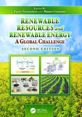Fornasiero / Graziani |  Renewable Resources and Renewable Energy | Buch |  Sack Fachmedien