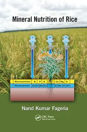 Fageria | Mineral Nutrition of Rice | Buch | 978-1-138-19886-9 | sack.de