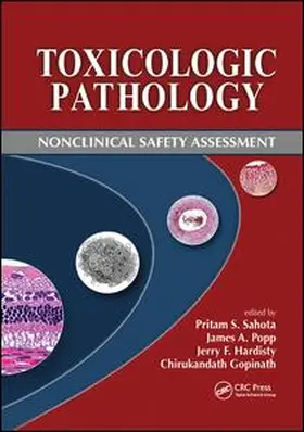 Sahota / Popp / Hardisty | Toxicologic Pathology | Buch | 978-1-138-19954-5 | sack.de