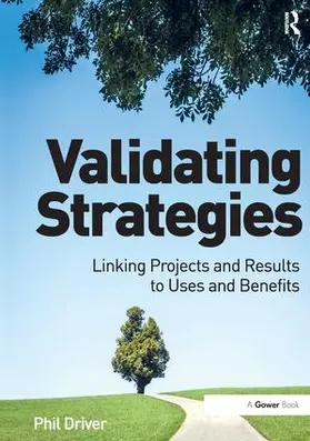 Driver |  Validating Strategies | Buch |  Sack Fachmedien