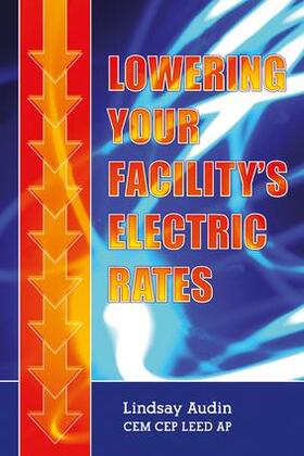 Audin |  Lowering Your Facility's Electric Rates | Buch |  Sack Fachmedien