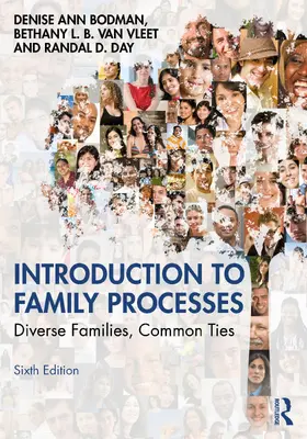Bodman / Van Vleet / Day | Introduction to Family Processes | Buch | 978-1-138-31289-0 | www.sack.de