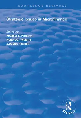 Kimenyi / Wieland | Strategic Issues in Microfinance | Buch | 978-1-138-34878-3 | www.sack.de