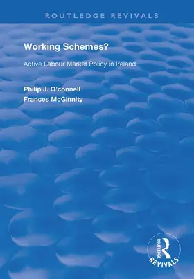 McGinnity / O'Connell | Working Schemes? | Buch | 978-1-138-35989-5 | www.sack.de