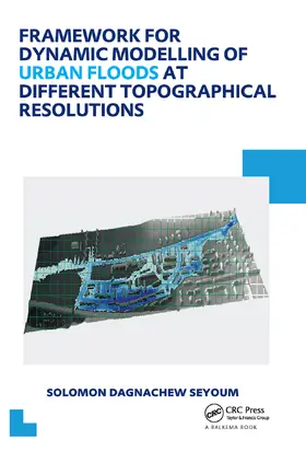 Seyoum |  Framework for Dynamic Modelling of Urban Floods at Different Topographical Resolutions | Buch |  Sack Fachmedien