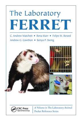 Matchett | The Laboratory Ferret | Buch | 978-1-138-40303-1 | sack.de