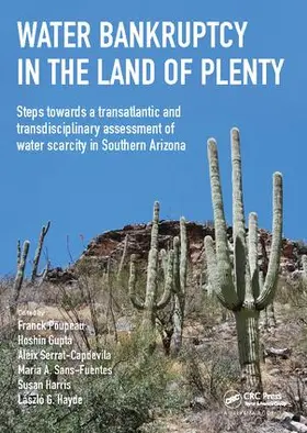 Poupeau |  Water Bankruptcy in the Land of Plenty | Buch |  Sack Fachmedien