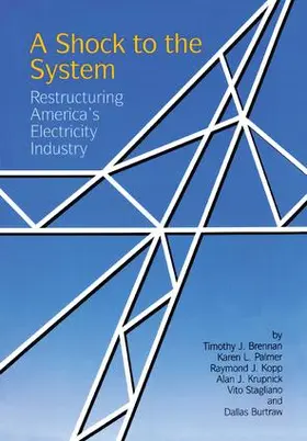 Brennan |  A Shock to the System | Buch |  Sack Fachmedien