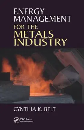 Belt | Energy Management for the Metals Industry | Buch | 978-1-138-44148-4 | www.sack.de
