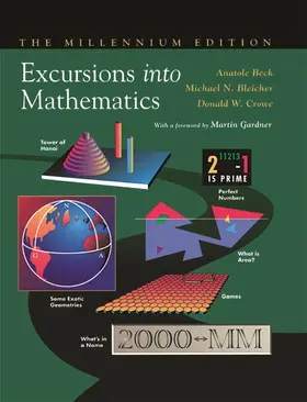 Beck / Bleicher / Crowe | Excursions into Mathematics | Buch | 978-1-138-44240-5 | sack.de