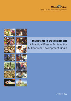 Project | UN Millennium Development Library: Overview | Buch | 978-1-138-47180-1 | sack.de
