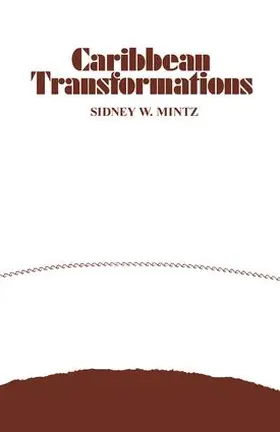 Niehoff / Mintz |  Caribbean Transformations | Buch |  Sack Fachmedien