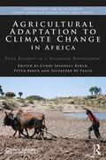 Berck / Di Falco / Spindell Berck |  Agricultural Adaptation to Climate Change in Africa | Buch |  Sack Fachmedien