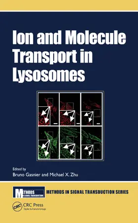 Gasnier / Zhu |  Ion and Molecule Transport in Lysosomes | Buch |  Sack Fachmedien